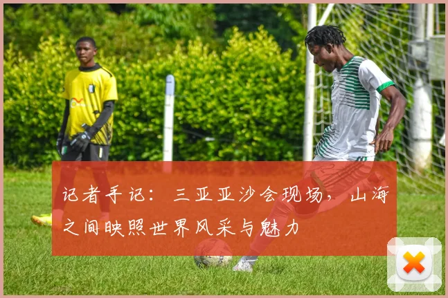 记者手记：三亚亚沙会现场，山海之间映照世界风采与魅力