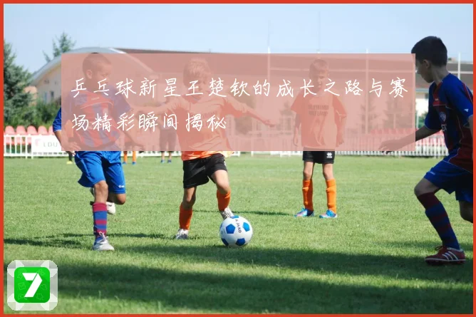 乒乓球新星王楚钦的成长之路与赛场精彩瞬间揭秘
