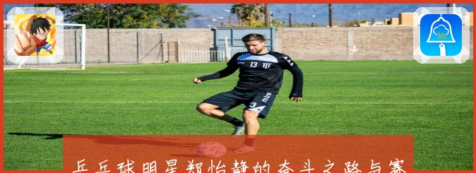 乒乓球明星郑怡静的奋斗之路与赛场精彩瞬间揭秘