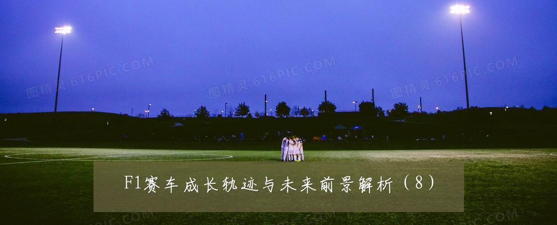 F1赛车成长轨迹与未来前景解析(8)