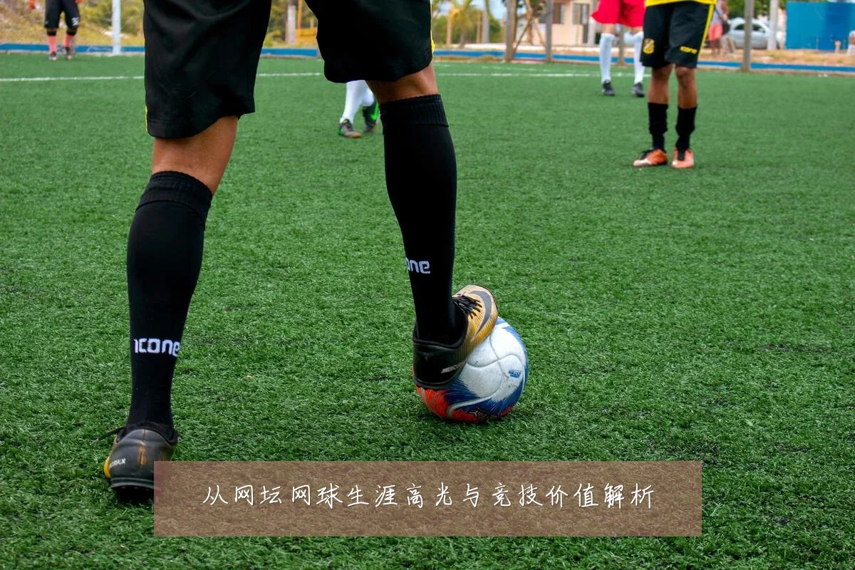 从网坛网球生涯高光与竞技价值解析